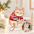 cat (1)