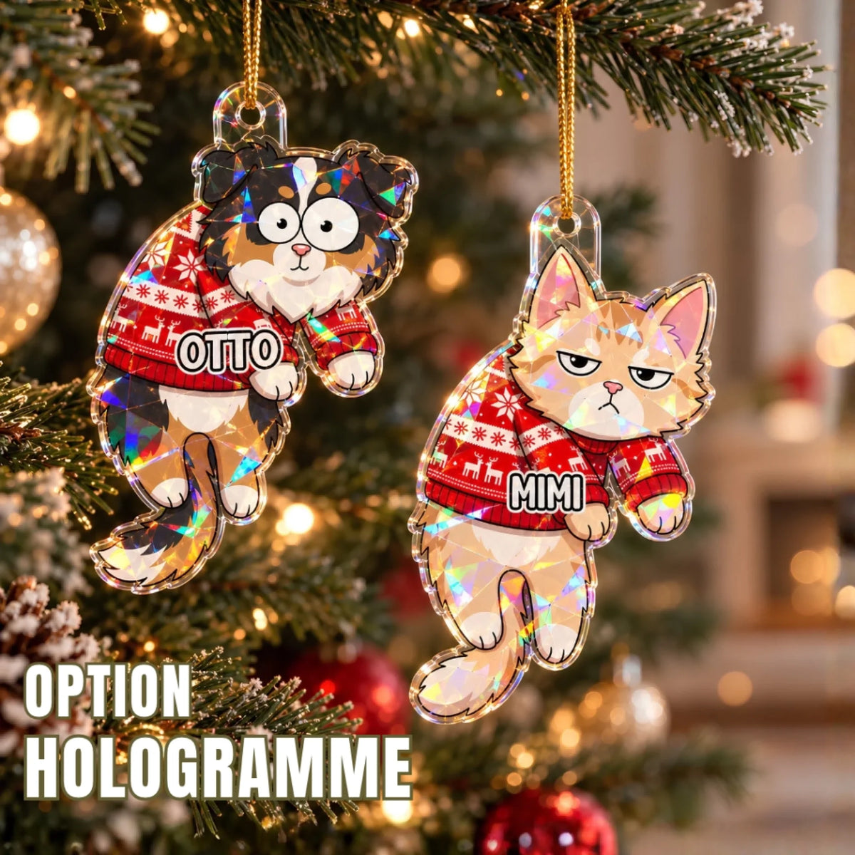 holo dog cat